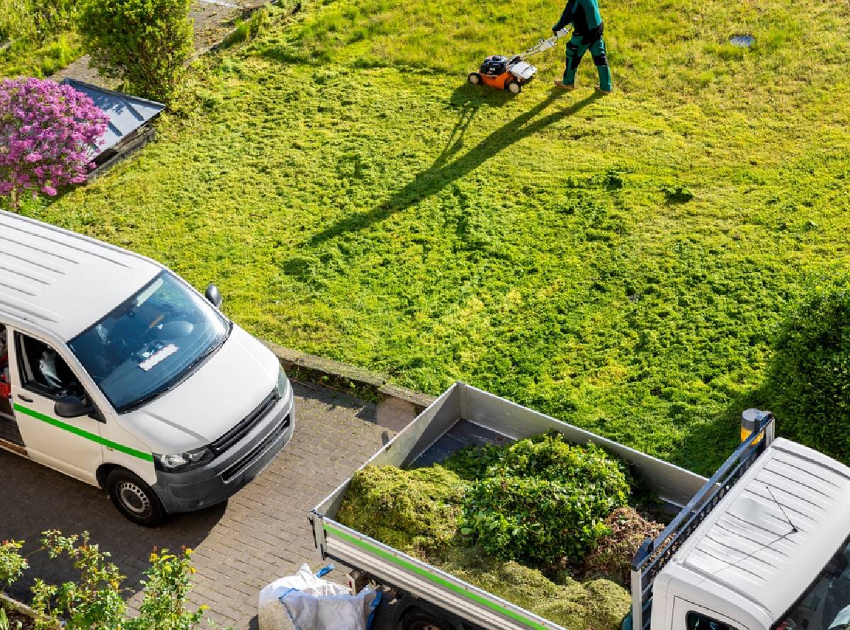 Tree surgeons in Bliston and West Midlands